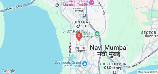Terna Physiotherapy College, Nerul Map