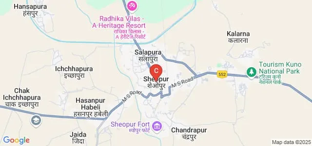 TMS Institute of Professional Studies, Sheopur Map