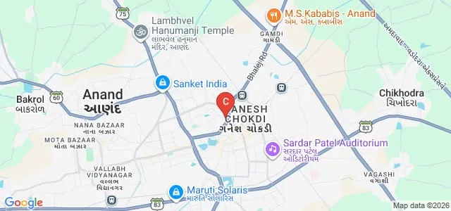 NS Patel Arts College, Anand Map