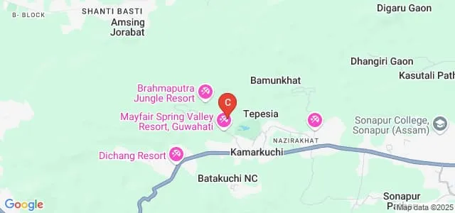 Rahman Institute of Pharmaceutical Sciences and Research, Kamrup Map