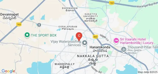 Vaagdevi College of Physiotherapy, Hanamkonda Map
