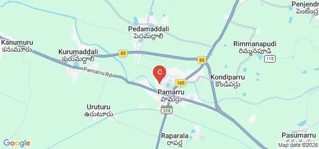 Pamarru Government Degree College, Krishna Map