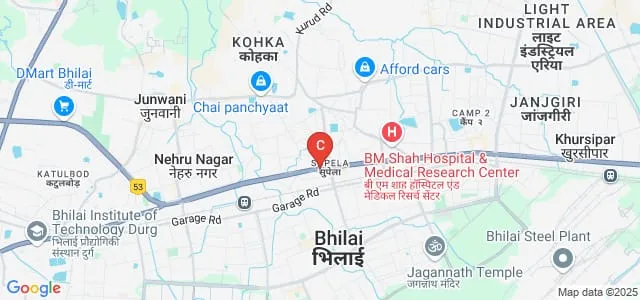 College of Dairy Science and Food Technology, Raipur Map