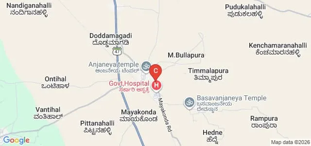 Sri Basaveshwara Government First Grade College, Mayakonda Map