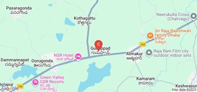 Warangal Institute of Technology and Science, Warangal Map