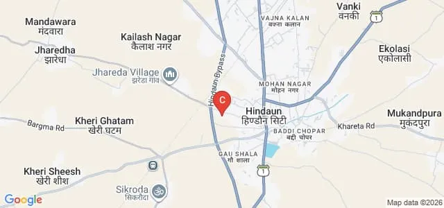 Ram Dulari Teachers Training Women College, Hindaun City Map