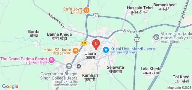 Bhagat Singh Government PG College, Jaora Map