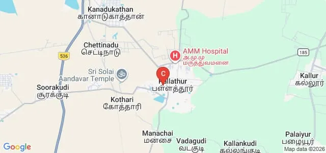 Seethalakshmi Achi College for Women, Pallathur Map