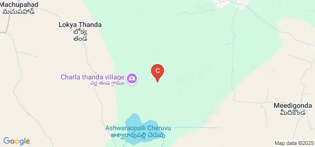 SR College of Pharmacy, Hasanparthy Map
