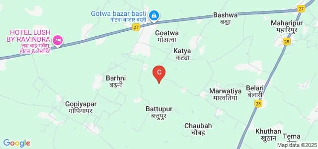Dr VK Verma Institute of Medical Science, Basti Map
