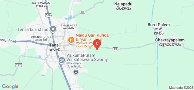 ASN Pharmacy College, Tenali Map