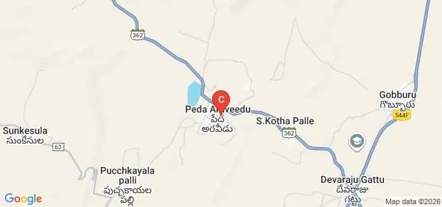 NS College of Horticultural Sciences, Prakasam Map