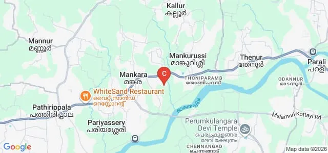 Rajadhani Institute of Science and Technology, Palakkad Map