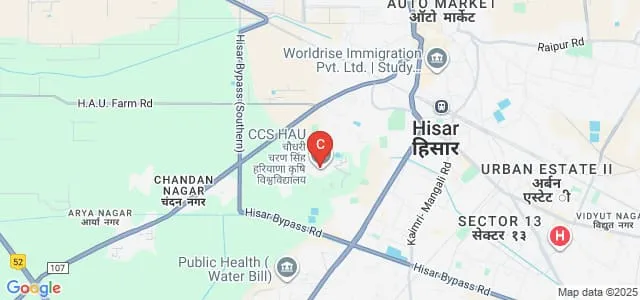 College of Agricultural Engineering and Technology, Chaudhary Charan Singh Haryana Agricultural University, Hisar Map