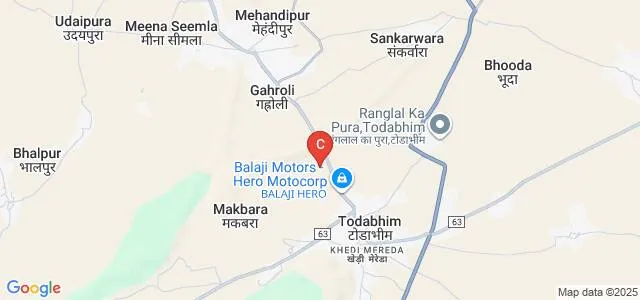 Mishri Devi Memorial Polytechnic College, Karauli Map