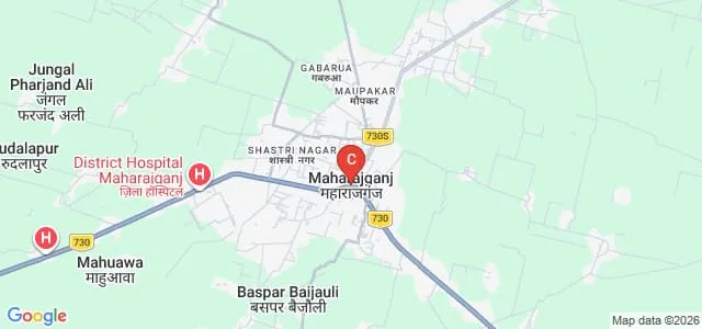Rajiv Gandhi College of Pharmacy, Maharajganj Map