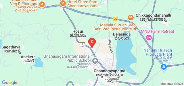 Government First Grade College, Channarayapatna Map