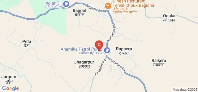Government Sant Rameshwar Gahira Guru Ji College, Bagicha Map