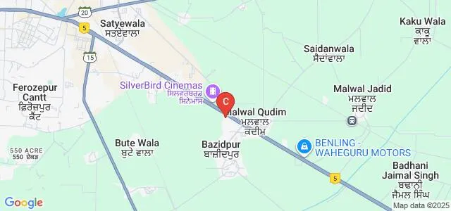 Genesis Institute of Dental Sciences and Research, Ferozepur Map