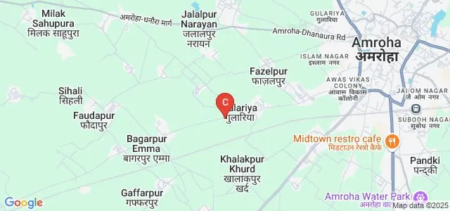 Singh Sahab Homoeopathic Medical College and Hospital, Amroha Map