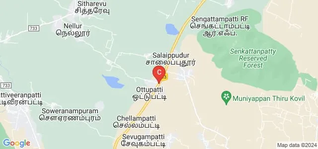Pannaikadu Veerammal Paramasivam College, Dindigul Map