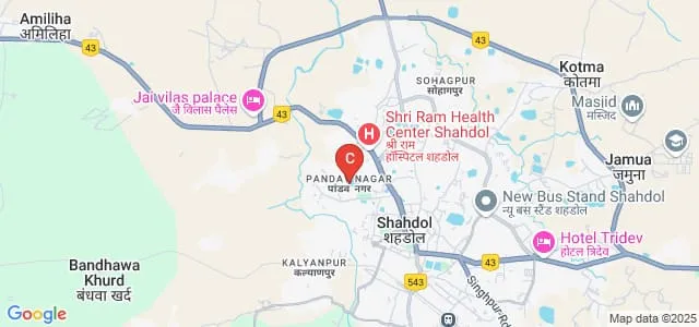 Government Indira Gandhi Home Science Girls College, Shahdol Map