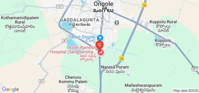 Aluri College of Nursing, Ongole Map