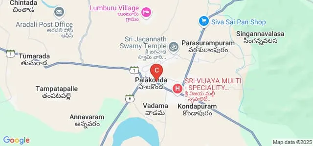 Government Degree College, Palakonda Map
