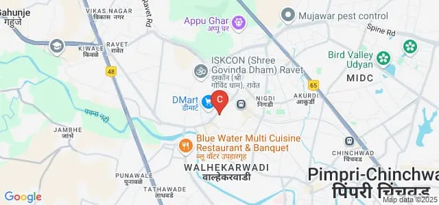 DY Patil College of Engineering, Pune Map
