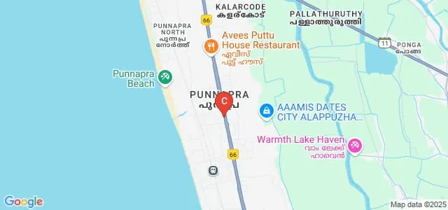 Mar Gregorios College of Arts and Science, Punnapra Map