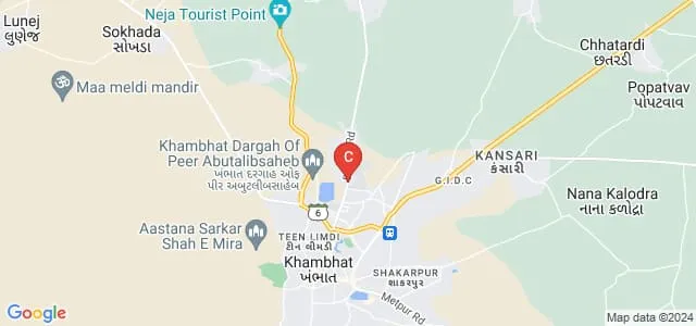 Smt BCJ College of Education M Ed, Anand Map