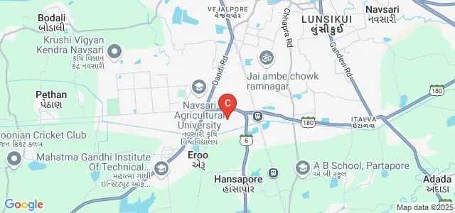 Naran Lala College of Commerce and Management, Navsari Map