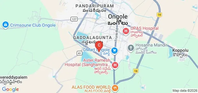 DS Government Degree College for Women, Ongole Map
