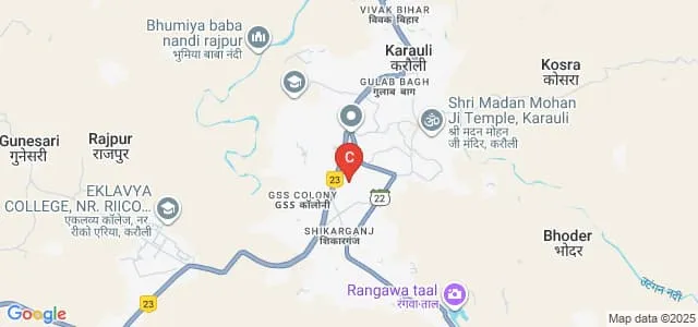 Government Polytechnic College, Karauli Map