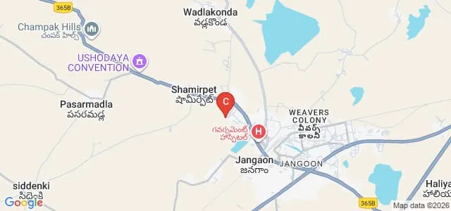 Vikas College of Pharmacy, Jangaon Map