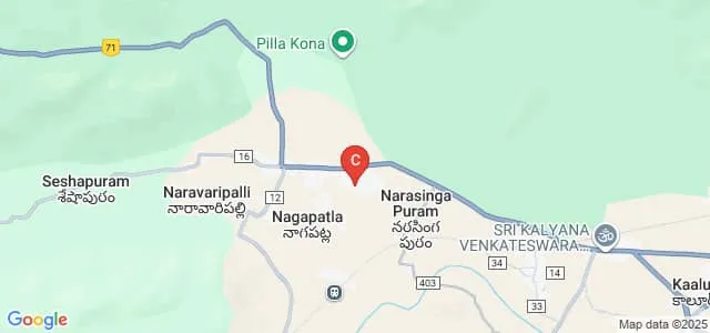 School of Commerce and Management, Mohan Babu University, Tirupati Map