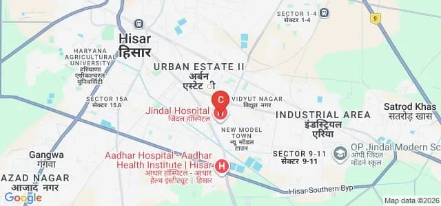 Shanti Niketan College, Hisar Map