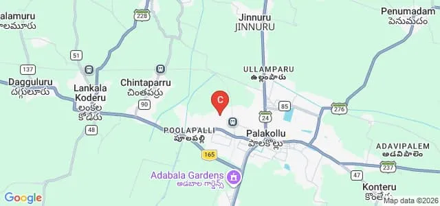 BRR and GKR Chambers Degree College, Palakol Map