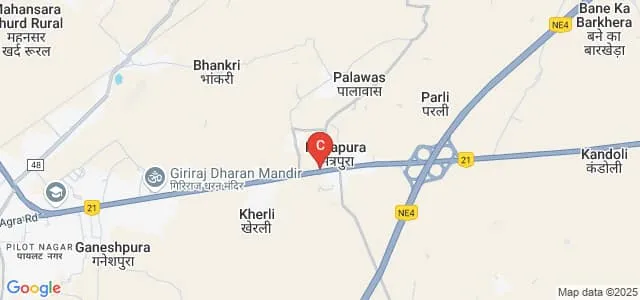 Shree Digamber Institute of Technology, Dausa Map