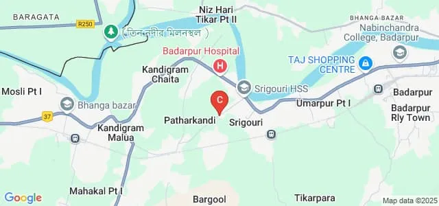 Allama Tayeebur Rahman College of Pharmacy, Badarpur Map