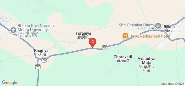 Amrut Homoeopathic Medical College and Hospital, Junagadh Map