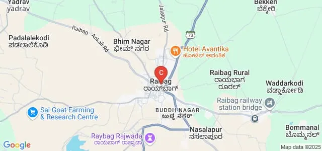 Government First Grade College, Raibag Map