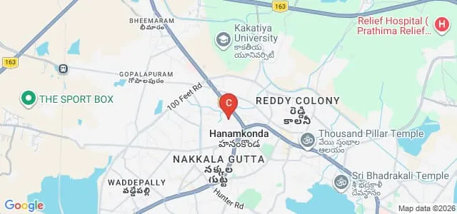 Vaagdevi College of Pharmacy, Hanamkonda Map
