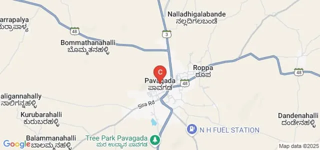 Smt and Sri YE Rangaiah Shetty Government First Grade College, Pavagada Map