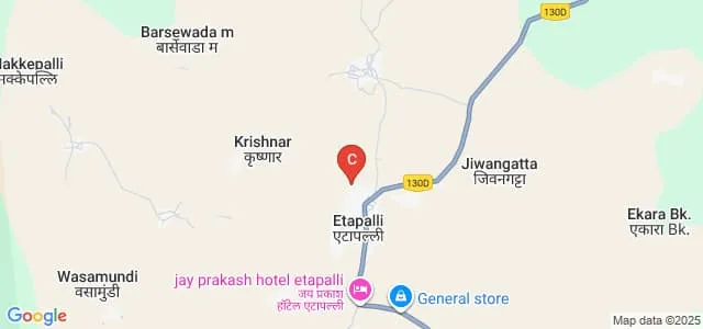 Bhagwantrao Arts and Science College, Gadchiroli Map