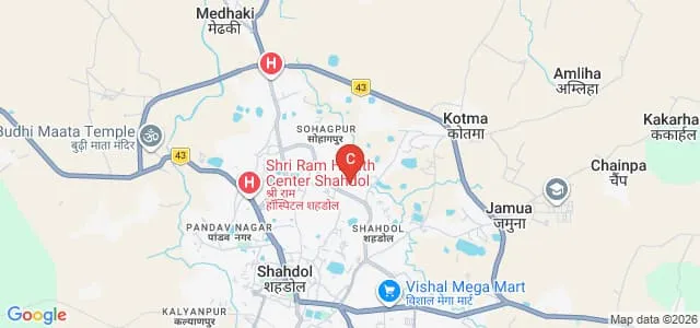 Shivani Paramedical Institute, Shahdol Map