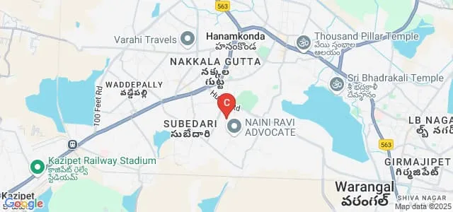 New Science Degree and PG College, Hanamkonda Map