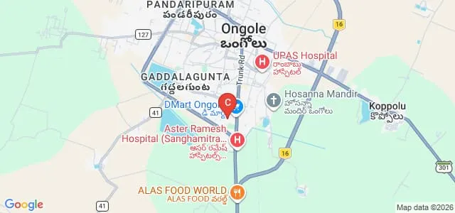 Government Medical College, Ongole Map