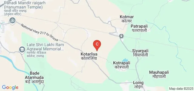 Raigarh Medical College and Hospital of Ayurveda, Raigarh Map
