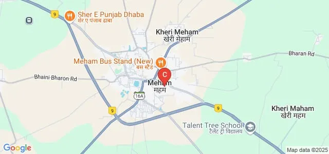 Government College, Meham Map